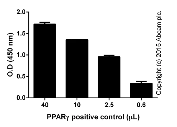 Functional Studies - PPAR gamma Transcription Factor Assay Kit (AB133101)