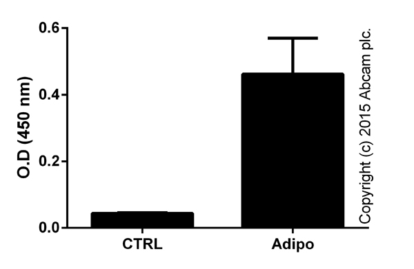 Functional Studies - PPAR gamma Transcription Factor Assay Kit (AB133101), expandable thumbnail