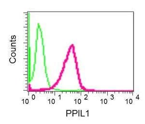 Flow Cytometry (Intracellular) - Anti-PPIL1 antibody [EPR10251] (AB154188)