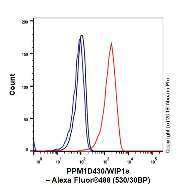 Flow Cytometry (Intracellular) - Anti-PPM1D/WIP1 antibody [EPR22960-39] (AB234439), expandable thumbnail