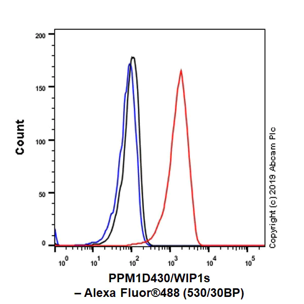 Flow Cytometry (Intracellular) - Anti-PPM1D/WIP1 antibody [EPR22960-39] (AB234439)