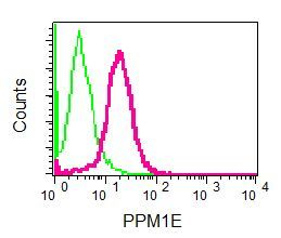 Flow Cytometry (Intracellular) - Anti-PPM1E antibody [EPR8722] (AB137023), expandable thumbnail