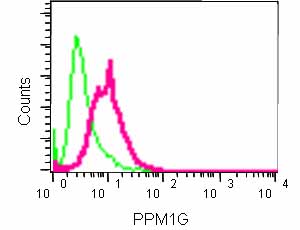Flow Cytometry (Intracellular) - Anti-PPM1G antibody [EPR13362] (AB184184), expandable thumbnail