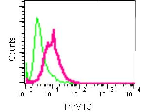 Flow Cytometry (Intracellular) - Anti-PPM1G antibody [EPR13362] - BSA and Azide free (AB250738)