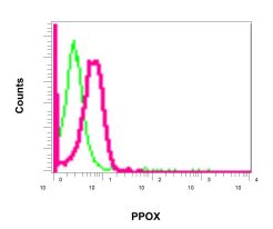 Flow Cytometry (Intracellular) - Anti-PPOX antibody [EPR10400] - BSA and Azide free (AB249536), expandable thumbnail