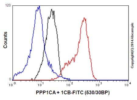 Flow Cytometry (Intracellular) - Anti-PPP1CA + PPP1CB antibody [EP1511Y] - BSA and Azide free (AB239844), expandable thumbnail