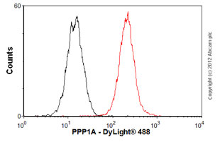 Flow Cytometry (Intracellular) - Anti-PPP1CA + PPP1CB antibody [EP1511Y] - BSA and Azide free (AB239844), expandable thumbnail