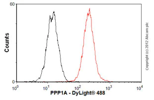 Flow Cytometry (Intracellular) - Anti-PPP1CA + PPP1CB antibody [EP1511Y] - BSA and Azide free (AB239844)