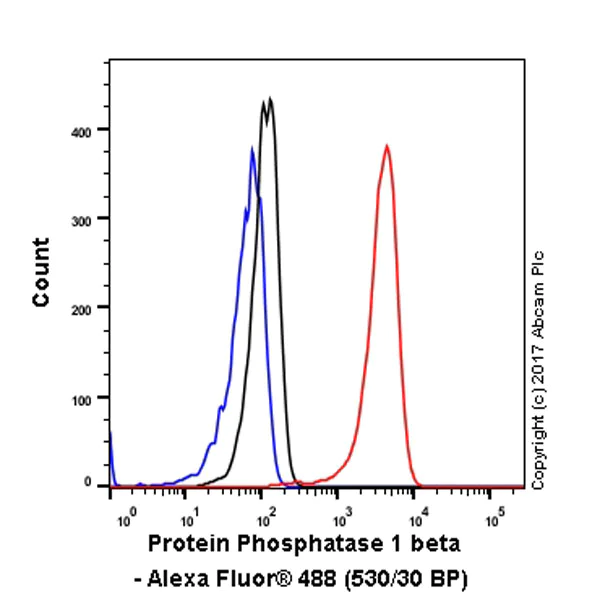 Flow Cytometry (Intracellular) - Anti-PPP1CB antibody [EP1804Y] - BSA and Azide free (AB284701)