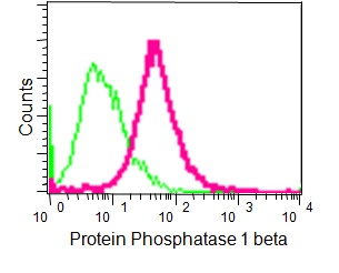 Flow Cytometry (Intracellular) - Anti-PPP1CB antibody [EP1804Y] - BSA and Azide free (ab284701), expandable thumbnail