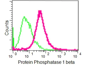 Flow Cytometry (Intracellular) - Anti-PPP1CB antibody [EP1804Y] - BSA and Azide free (AB284701)