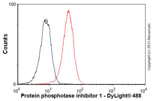 Flow Cytometry (Intracellular) - Anti-PPP1R1A antibody [EP902Y] (AB40877), expandable thumbnail