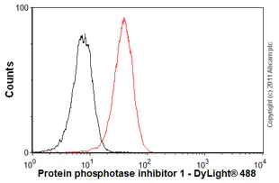 Flow Cytometry (Intracellular) - Anti-PPP1R1A antibody [EP902Y] - BSA and Azide free (AB247299)