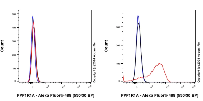Flow Cytometry (Intracellular) - Anti-PPP1R1A antibody [EPR28192-90] - BSA and Azide free (AB316932)