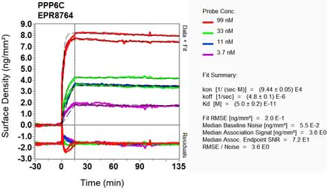 OI-RD Scanning - Anti-PPP6C/Ppv antibody [EPR8764] (AB131335)