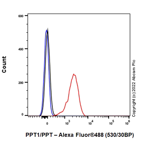 Flow Cytometry (Intracellular) - Anti-PPT1/PPT antibody [EPR27163-2] (AB302895)