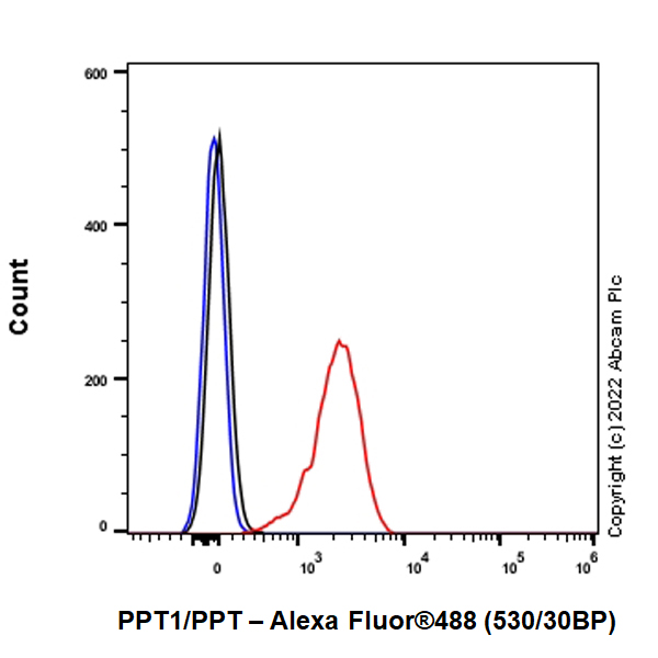 Flow Cytometry (Intracellular) - Anti-PPT1/PPT antibody [EPR27163-2] (BSA and Azide free) (AB302896), expandable thumbnail