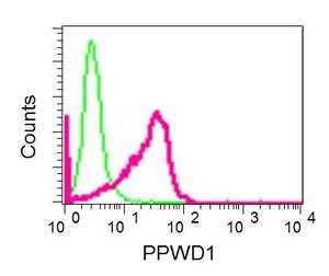 Flow Cytometry (Intracellular) - Anti-PPWD1 antibody [EPR7439] - BSA and Azide free (AB248938)