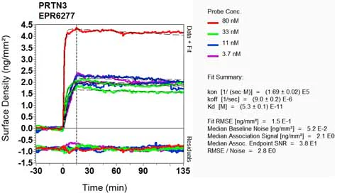 OI-RD Scanning - Anti-PR3 antibody [EPR6277] (AB133613)