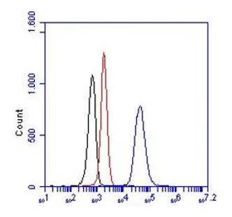 Flow Cytometry (Intracellular) - Anti-PR3 antibody [PR3G-2] (AB240507)