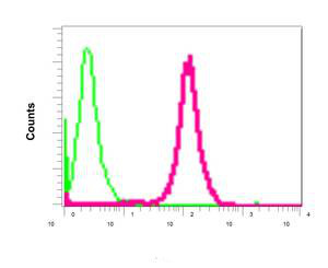 Flow Cytometry (Intracellular) - Anti-PRAS40 antibody [EPR6263(2)] - BSA and Azide free (AB249037), expandable thumbnail
