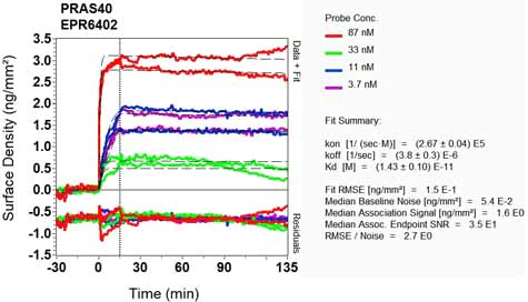 OI-RD Scanning - Anti-PRAS40 antibody [EPR6402] (AB133584)