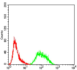 Flow Cytometry - Anti-PRDM4/PFM1 antibody [4B6G1] (AB233759)