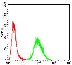 Flow Cytometry - Anti-Prealbumin antibody [2E10C5] (AB204997)