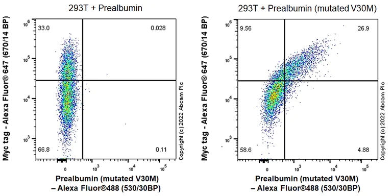 Flow Cytometry (Intracellular) - Anti-Prealbumin (mutated V30M) antibody [EPR24341-111] - BSA and Azide free (AB303503)