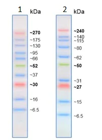SDS-PAGE - Prestained Protein Ladder - Extra broad molecular weight (6.5 - 270 kDa) (AB234592)