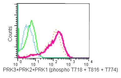 Flow Cytometry (Intracellular) - Anti-PRK3+PRK2+PRK1 (phospho T718 + T774 + T816) antibody [EPR1044(2)] - BSA and Azide free (AB250937)