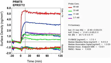 OI-RD Scanning - Anti-PRMT5 antibody [EPR5772] - BSA and Azide free (AB215364)