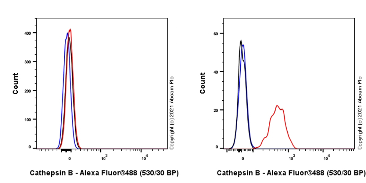 Flow Cytometry (Intracellular) - Anti-ProCathepsin B antibody [EPR24353-25] (AB270998)