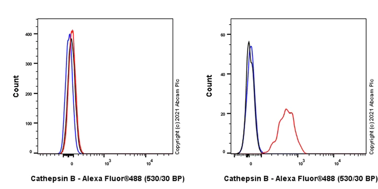 Flow Cytometry (Intracellular) - Anti-ProCathepsin B antibody [EPR24353-25] (AB270998)