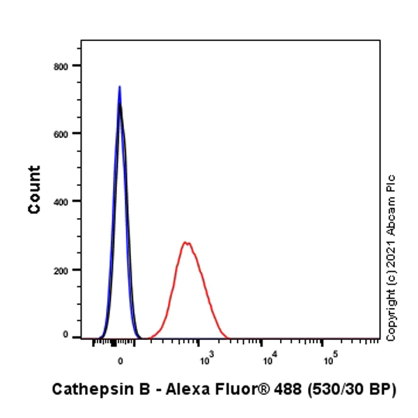 Flow Cytometry (Intracellular) - Anti-ProCathepsin B antibody [EPR24353-25] - BSA and Azide free (AB282287)