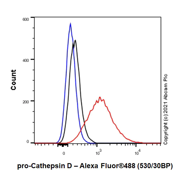 Flow Cytometry (Intracellular) - Anti-proCathepsin D antibody [EPR24352-13] - BSA and Azide free (AB282025)