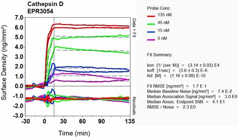 OI-RD Scanning - Anti-proCathepsin D antibody [EPR3054] (ab134169), expandable thumbnail