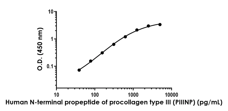 Sandwich ELISA - Anti-Procollagen III N-terminal propeptide (PIIINP) antibody [EPR24255-101] - BSA and Azide free (Detector) (AB285115)