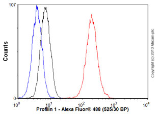 Flow Cytometry (Intracellular) - Anti-Profilin 1 antibody [EPR6304] (ab124904), expandable thumbnail