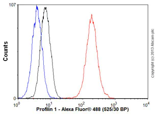 Flow Cytometry (Intracellular) - Anti-Profilin 1 antibody [EPR6304] - BSA and Azide free (AB232020)