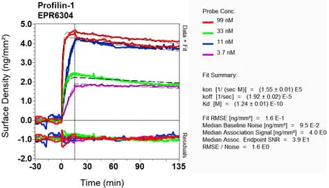 OI-RD Scanning - Anti-Profilin 1 antibody [EPR6304] - BSA and Azide free (AB232020)
