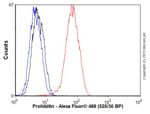 Flow Cytometry (Intracellular) - Anti-Prohibitin antibody [EP2803Y] - BSA and Azide free (AB239865)