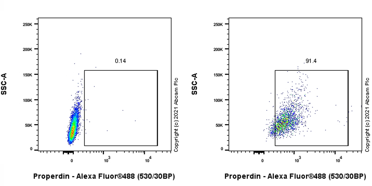 Flow Cytometry (Intracellular) - Anti-Properdin/PFC antibody [3A3E1] - BSA and Azide free (AB254275)
