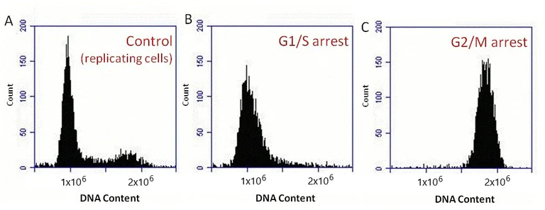 Flow Cytometry - Propidium Iodide Flow Cytometry Kit (AB139418)