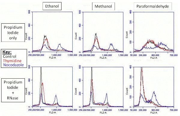 Flow Cytometry - Propidium Iodide Flow Cytometry Kit (AB139418), expandable thumbnail