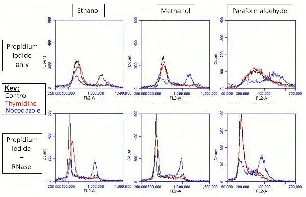 Flow Cytometry - Propidium Iodide Flow Cytometry Kit (AB139418)