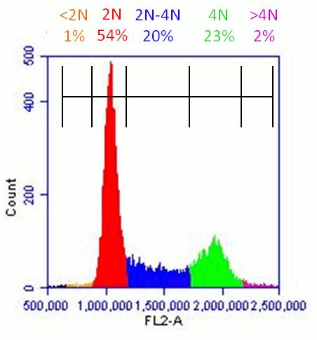 Flow Cytometry - Propidium Iodide Flow Cytometry Kit (AB139418), expandable thumbnail
