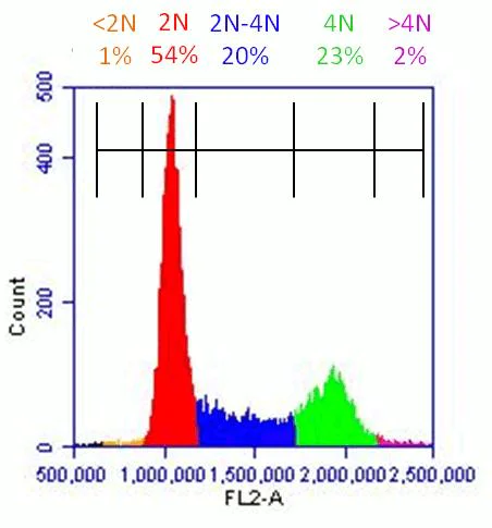 Flow Cytometry - Propidium Iodide Flow Cytometry Kit (AB139418)