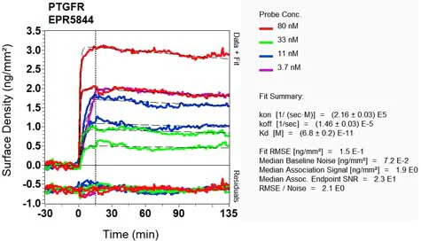 OI-RD Scanning - Anti-Prostaglandin F2 alpha Receptor/PTGFR antibody [EPR5844] (AB126709)