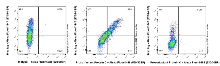 Flow Cytometry (Intracellular) - Anti-Prosurfactant Protein C antibody (AB90716)